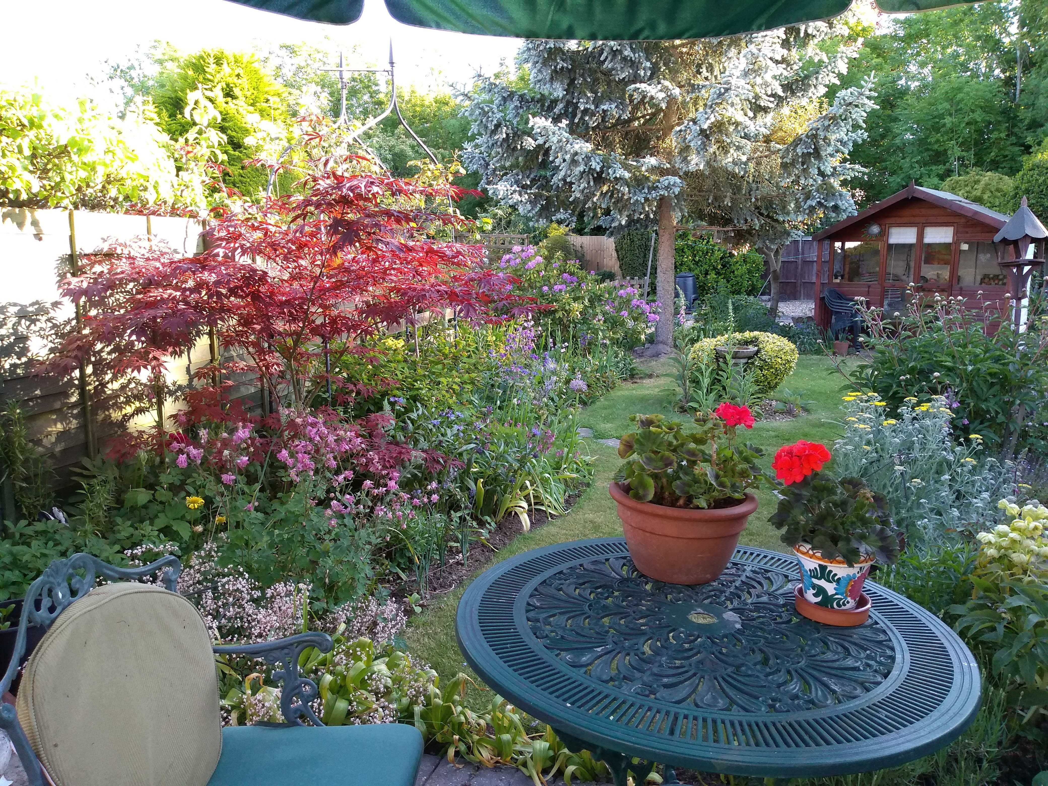 Picure of small round garden table with garden and shed in background, lots of flowers as it's mid May 