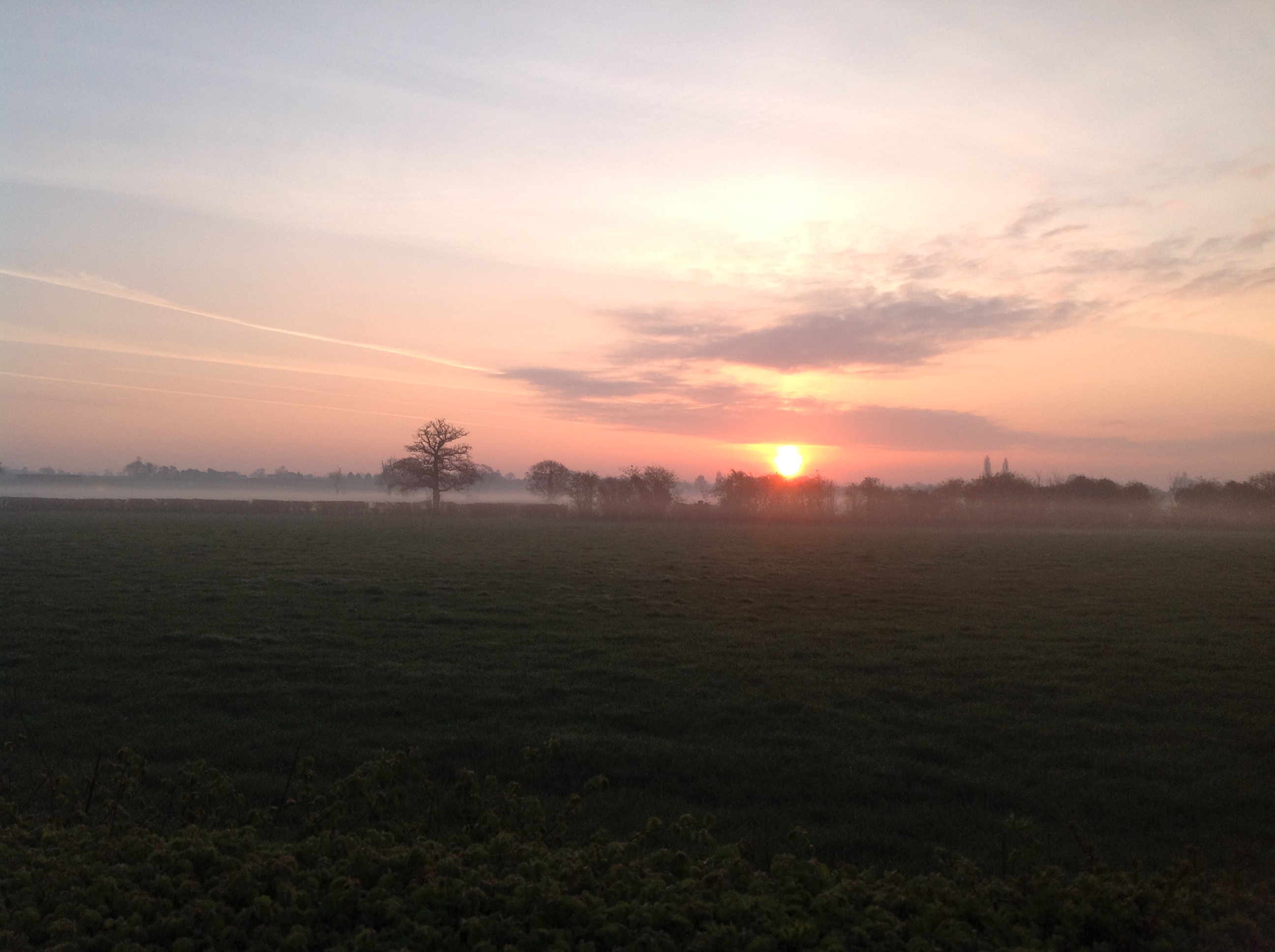 Spring Dawn